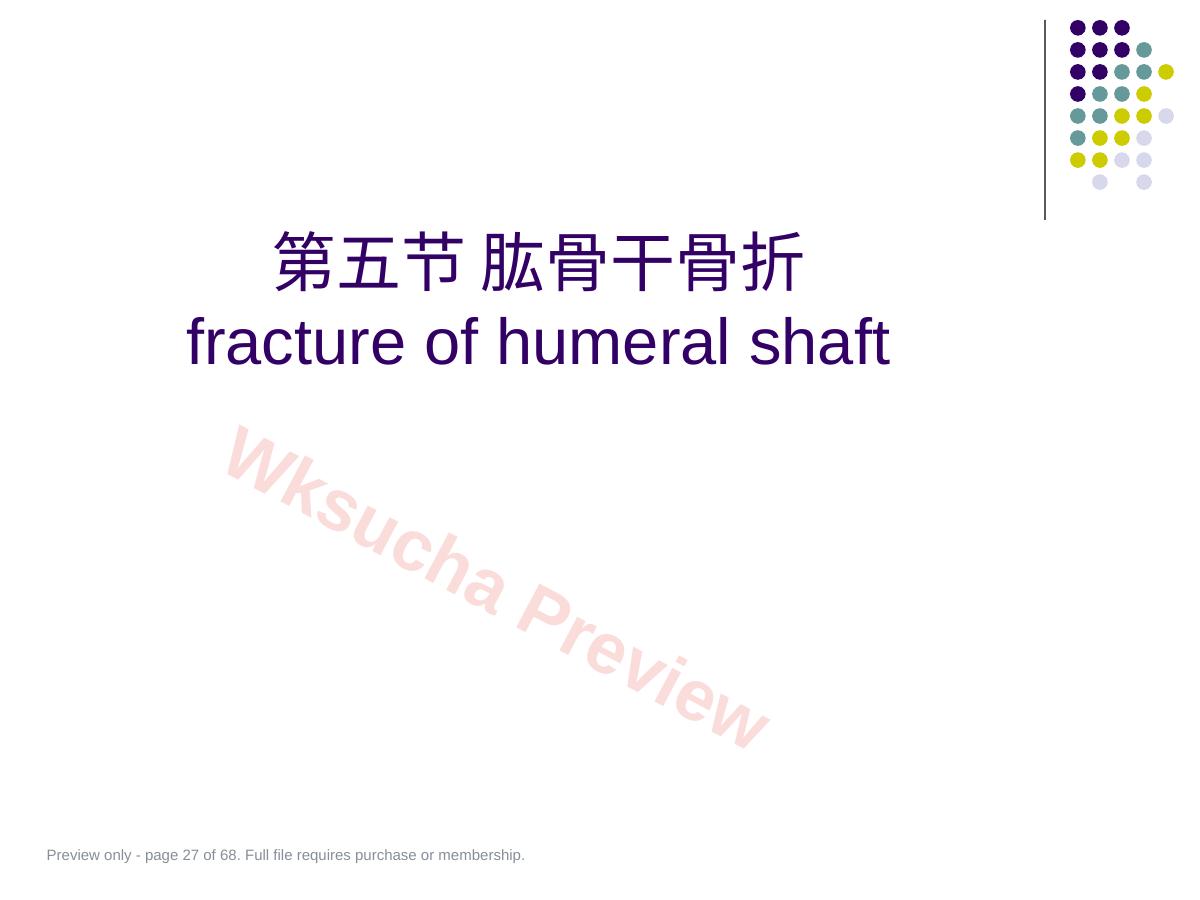 预览第 27 页