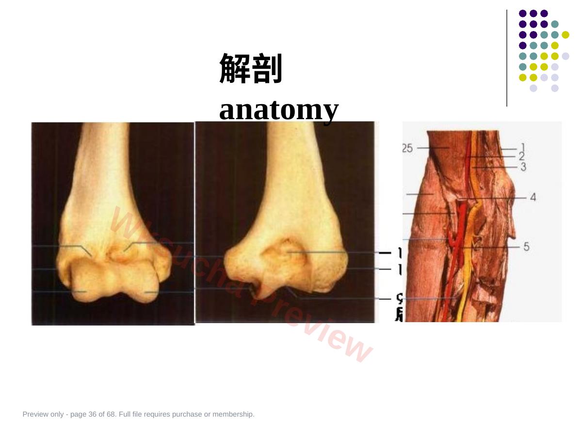预览第 36 页