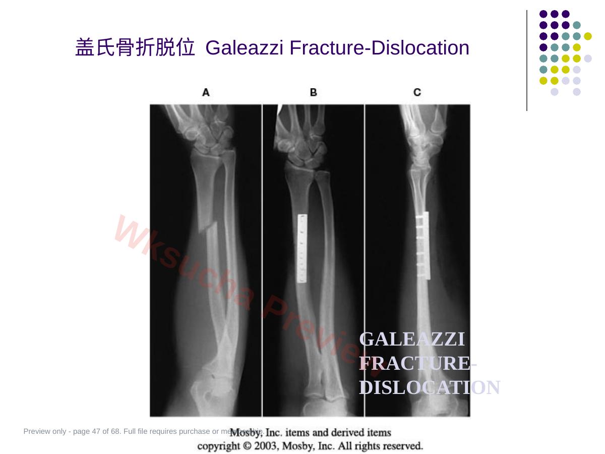 预览第 47 页
