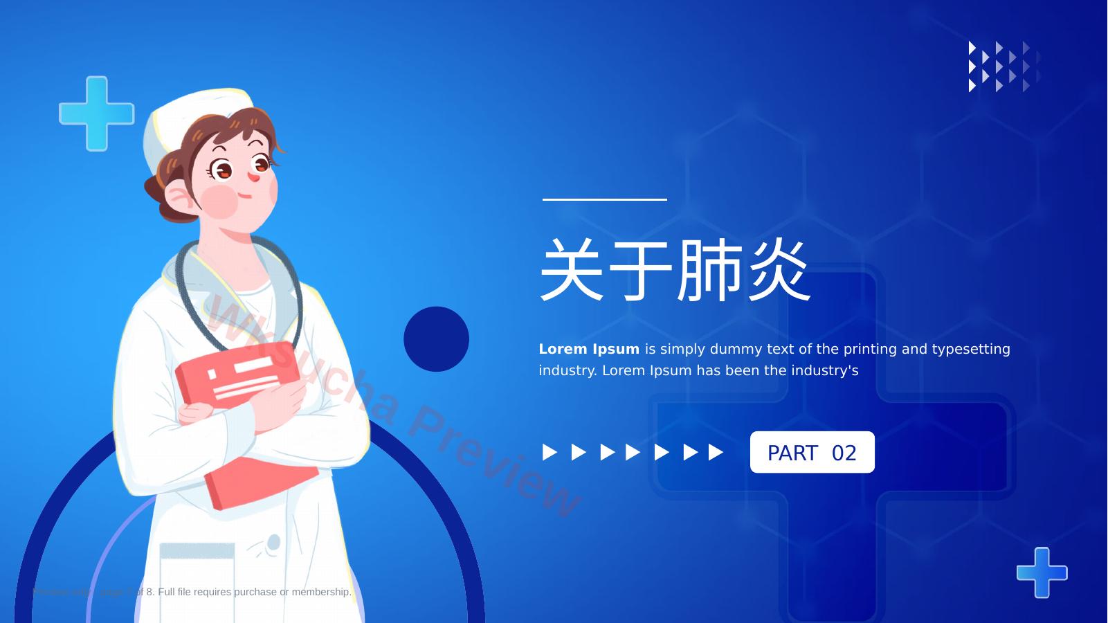 预览第 7 页
