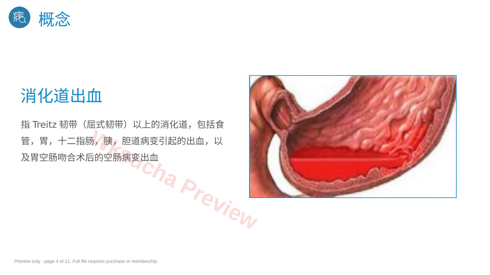 预览第 4 页