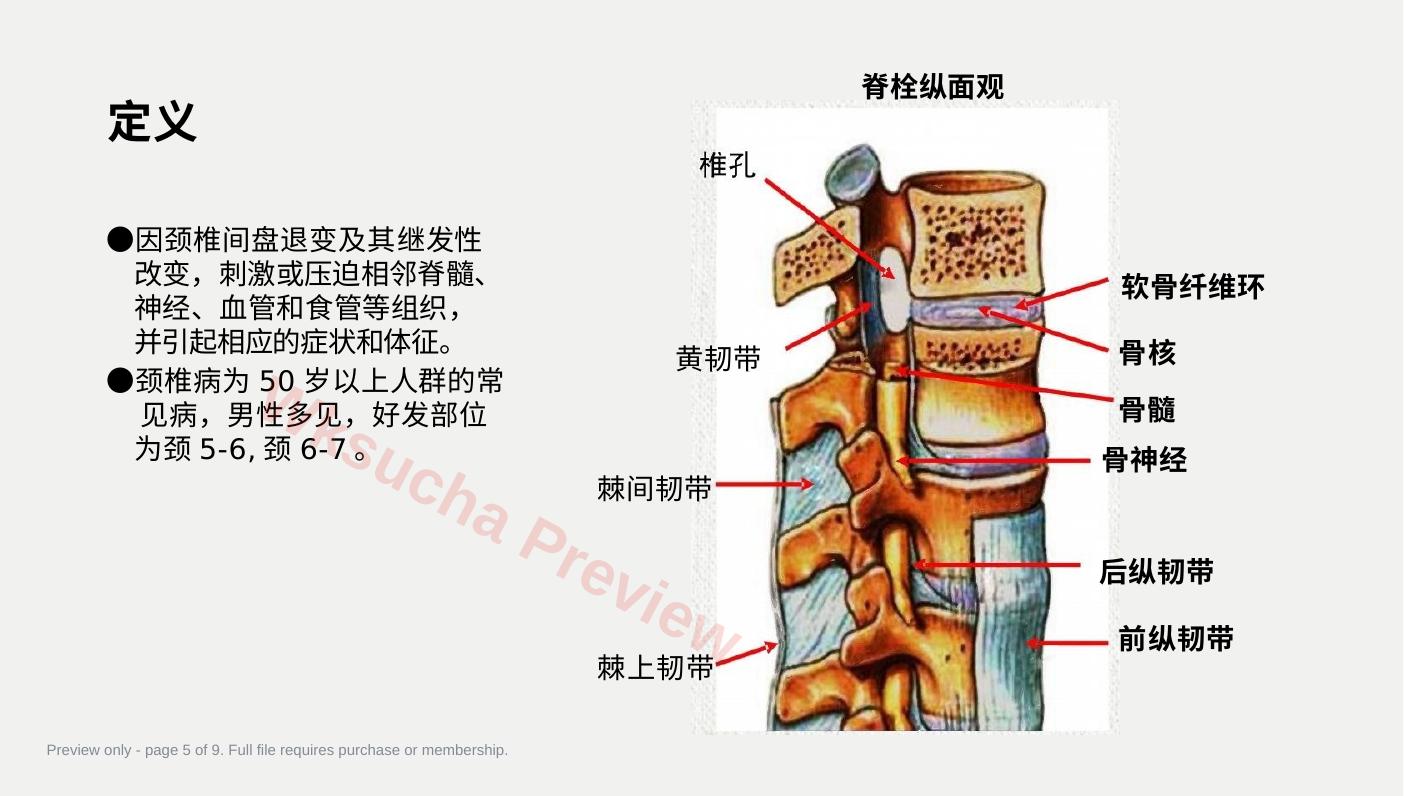 预览第 5 页