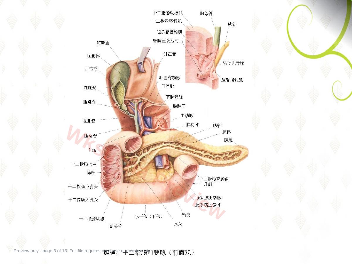 预览第 3 页