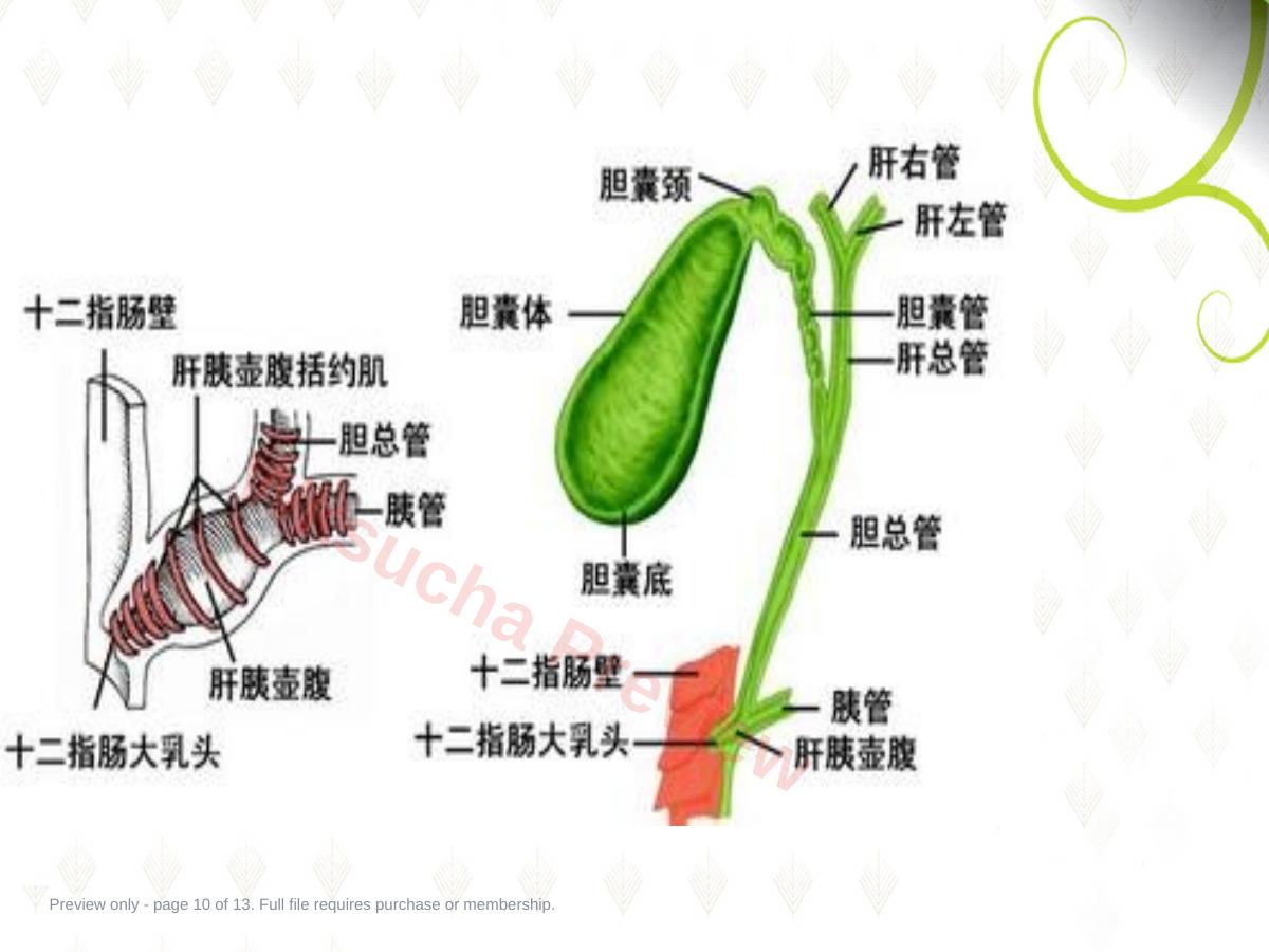 预览第 10 页
