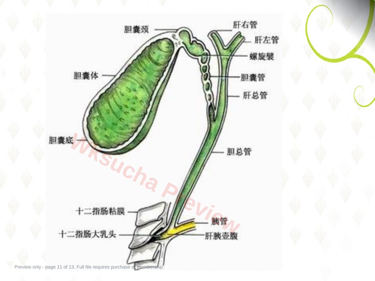 预览第 11 页