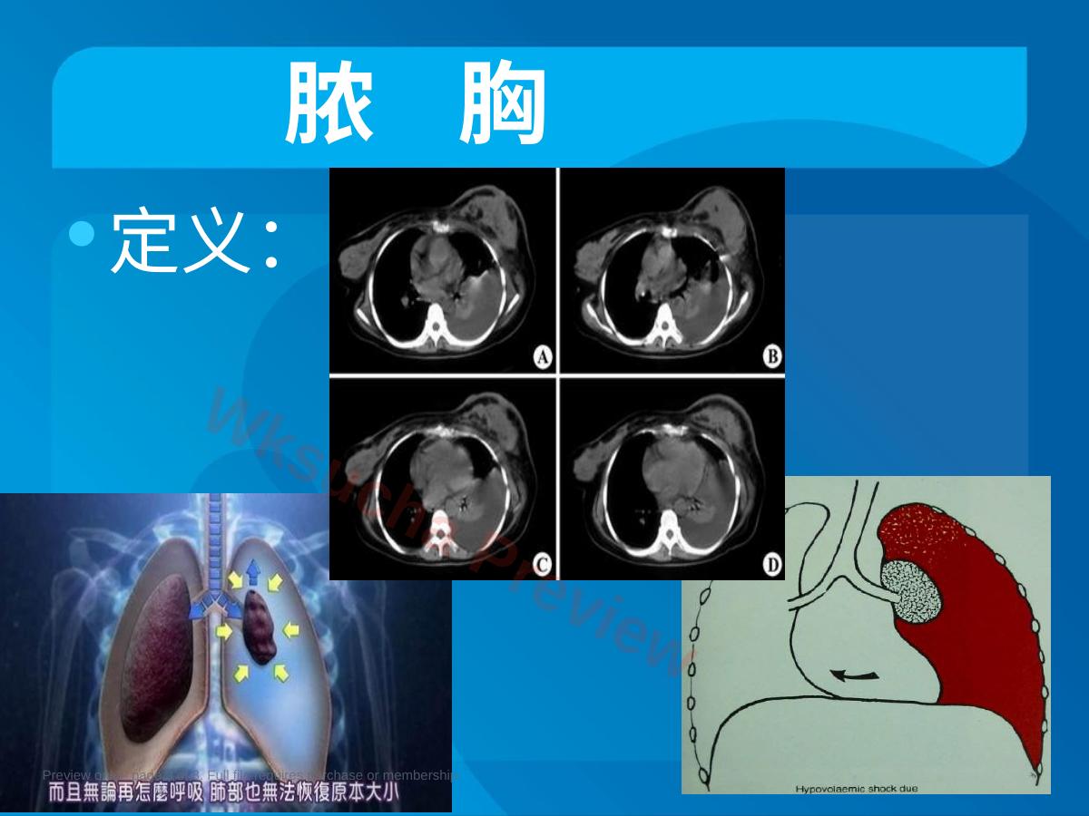 预览第 3 页