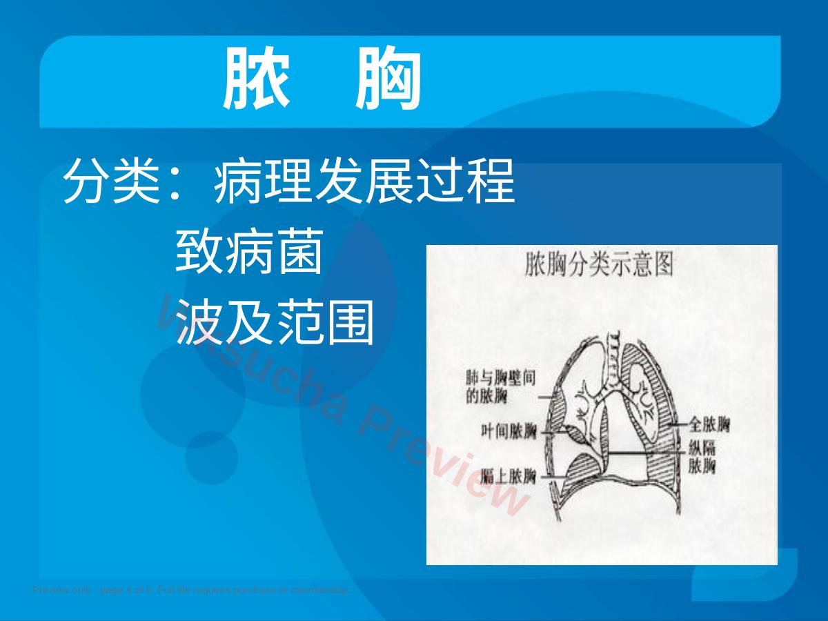 预览第 4 页
