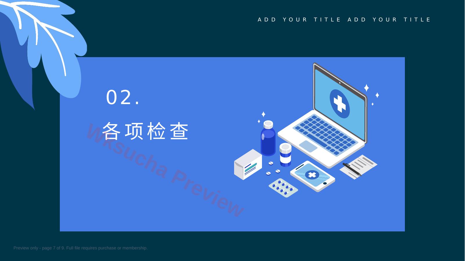 预览第 7 页