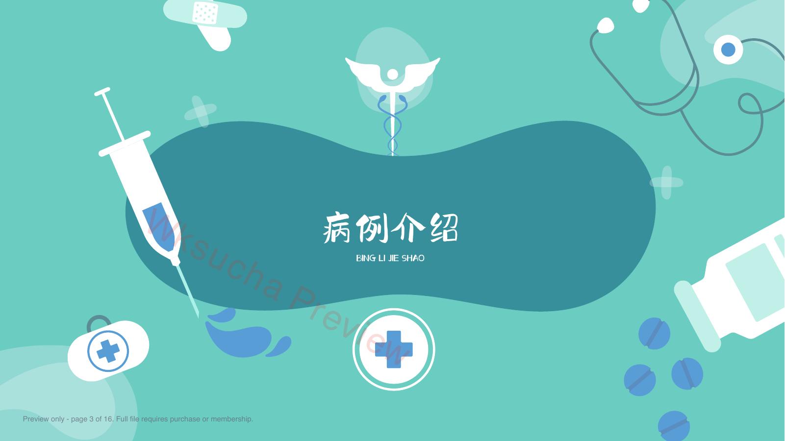 预览第 3 页