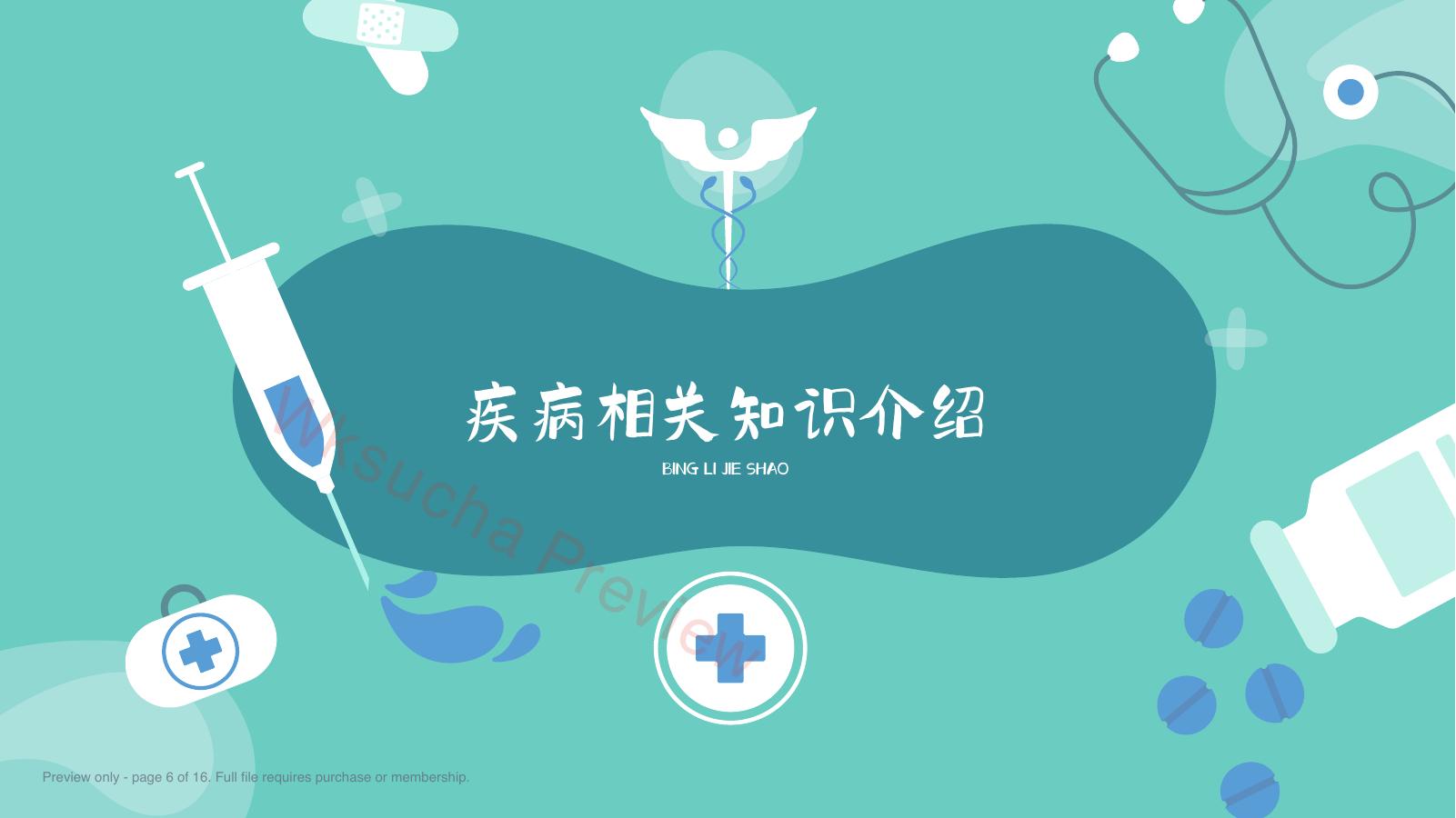 预览第 6 页