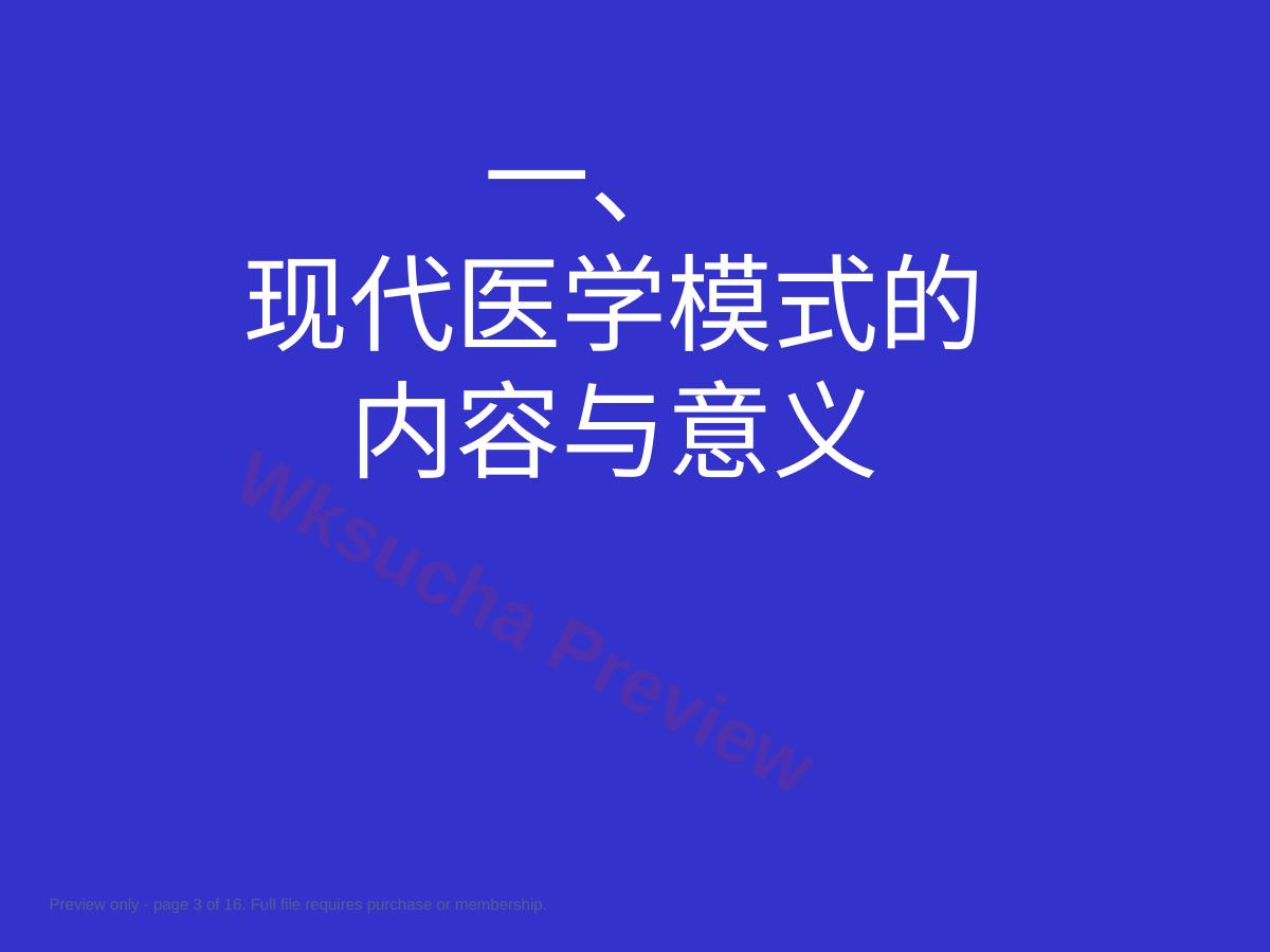 预览第 3 页