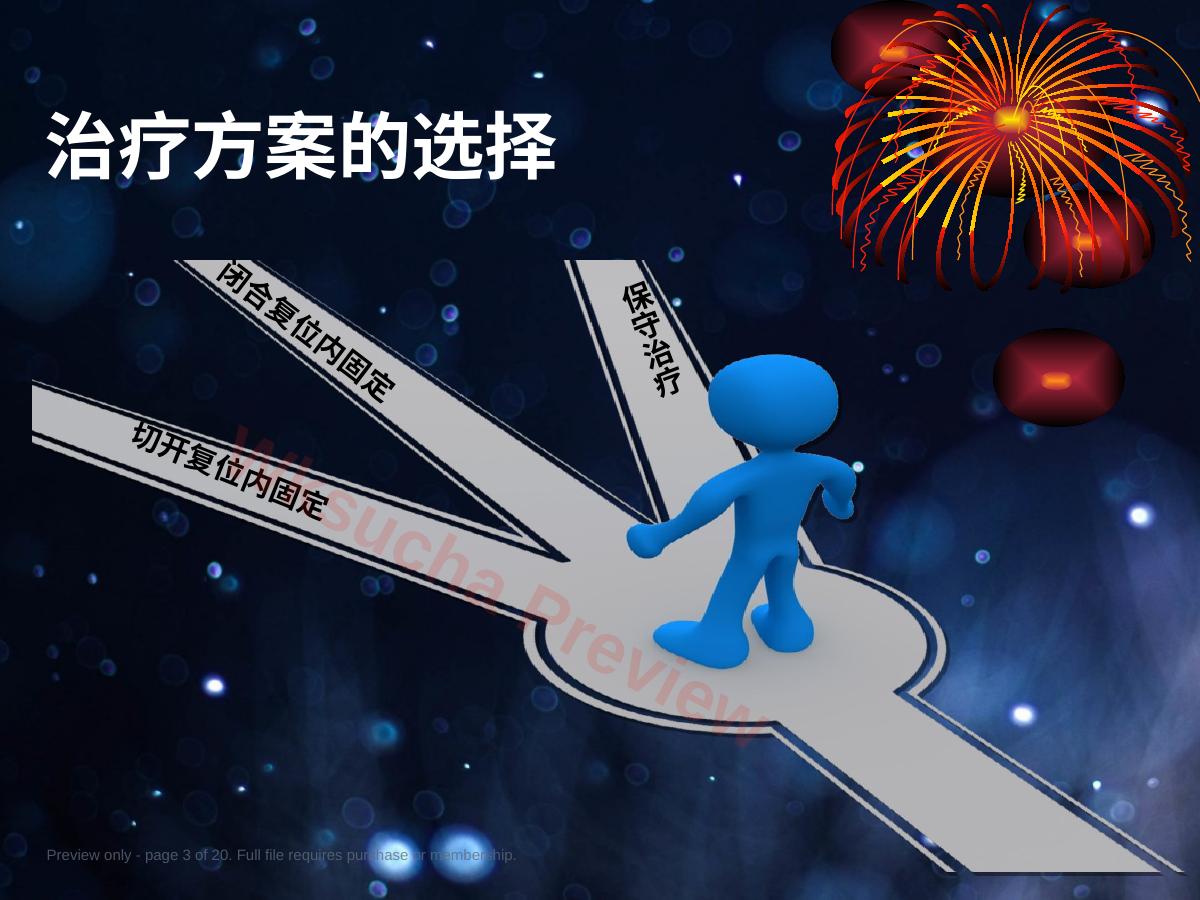 预览第 3 页