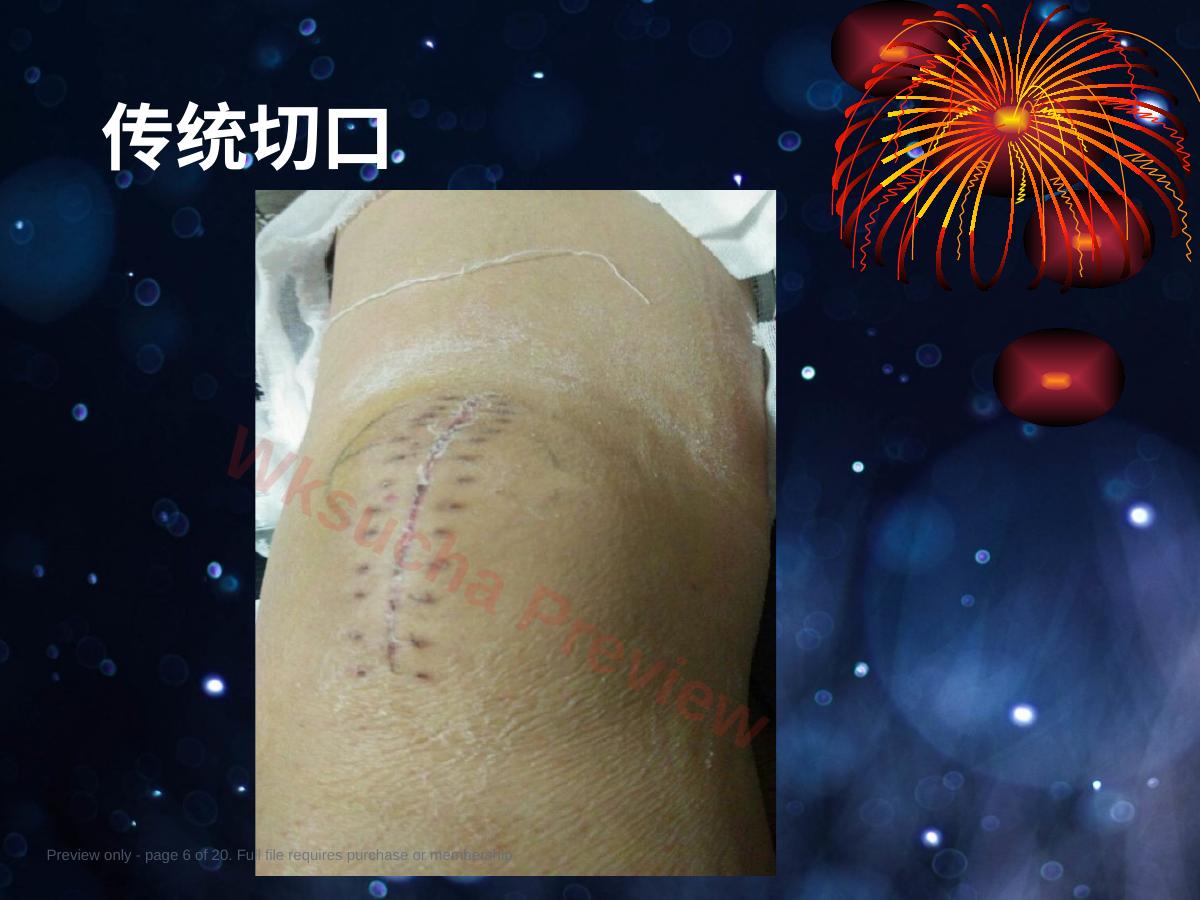 预览第 6 页