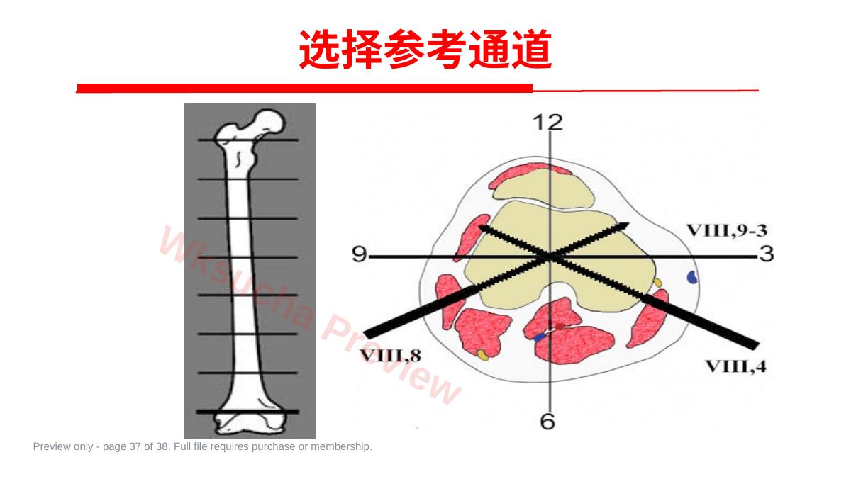 预览第 37 页