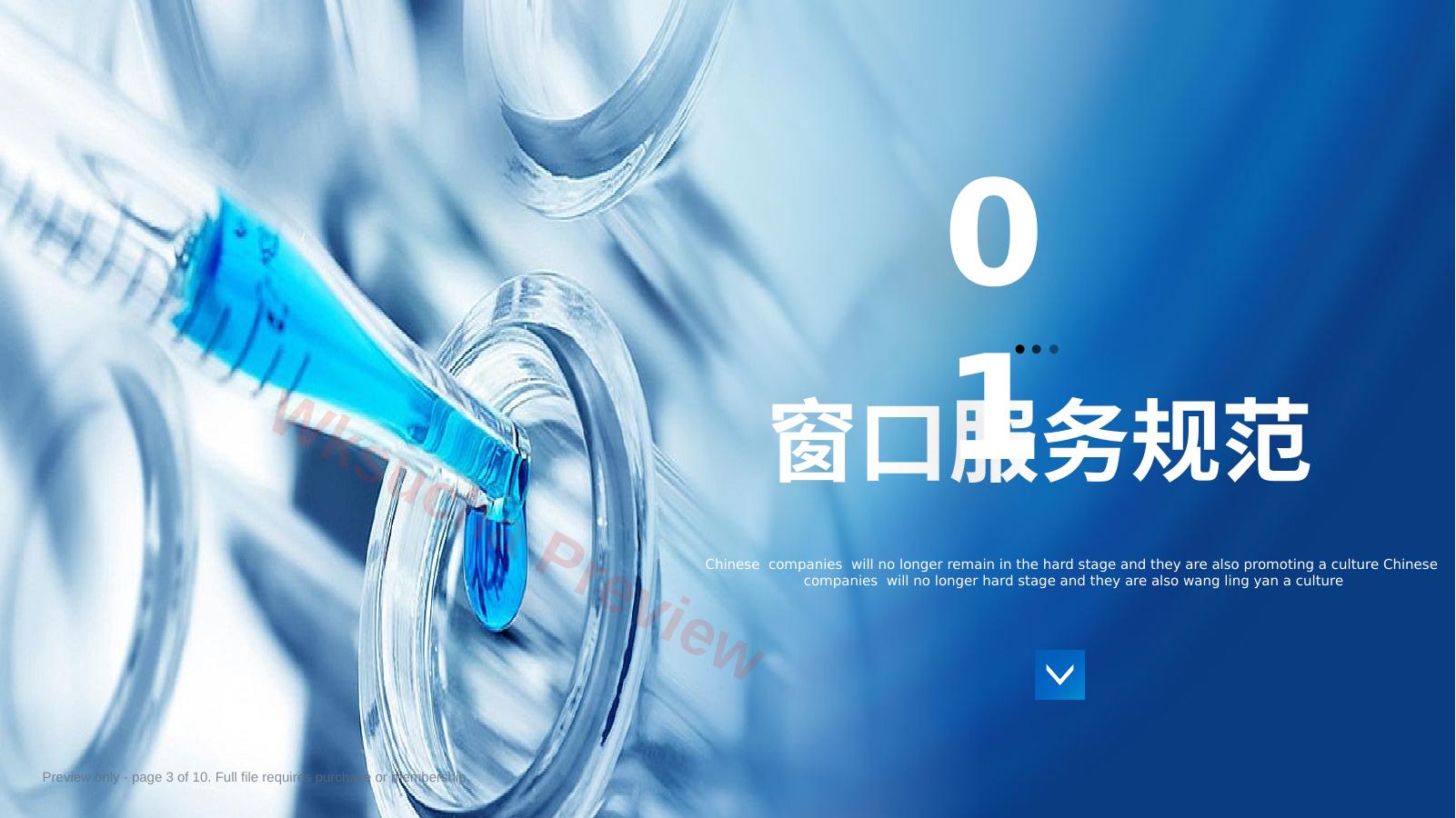 预览第 3 页