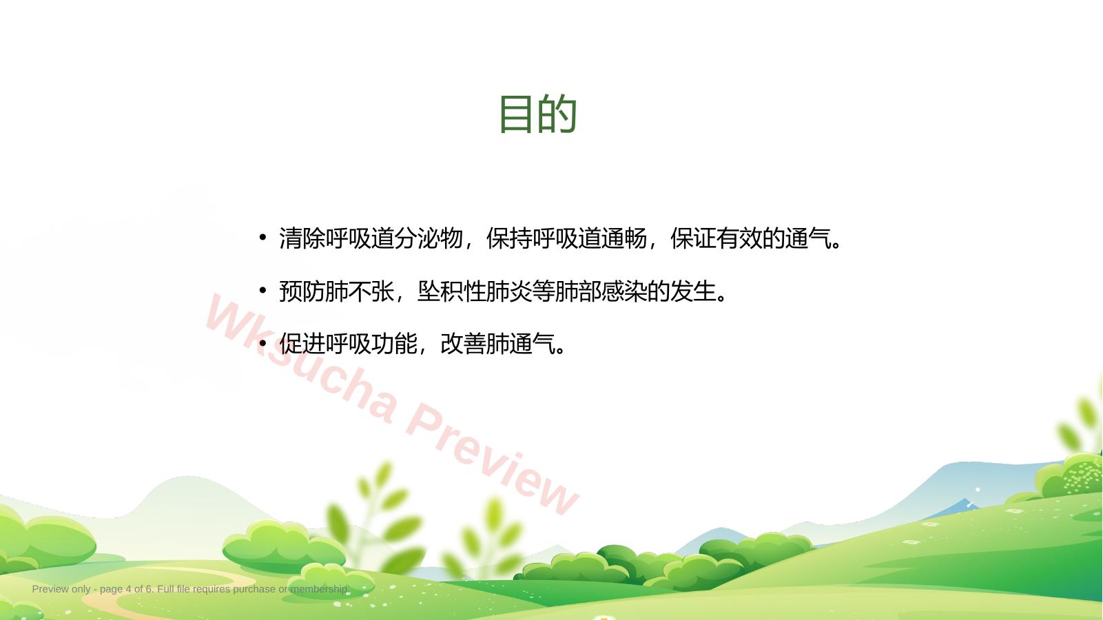 预览第 4 页