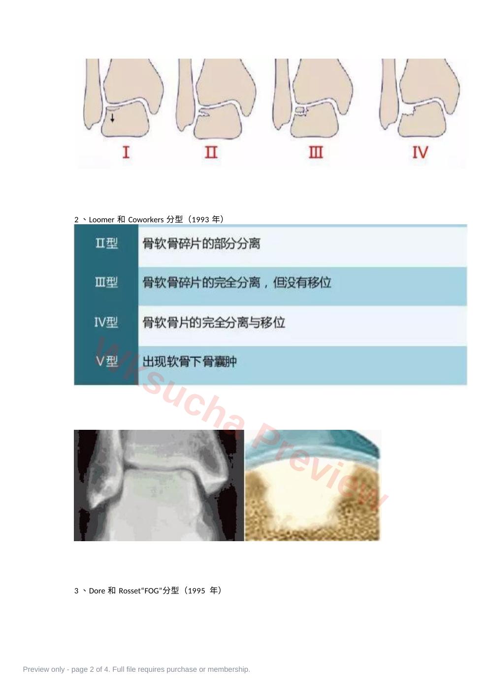 预览第 2 页