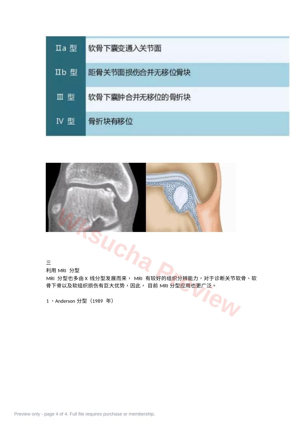 预览第 4 页
