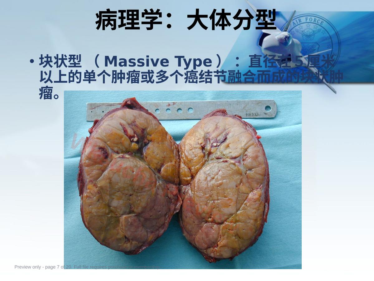 预览第 7 页