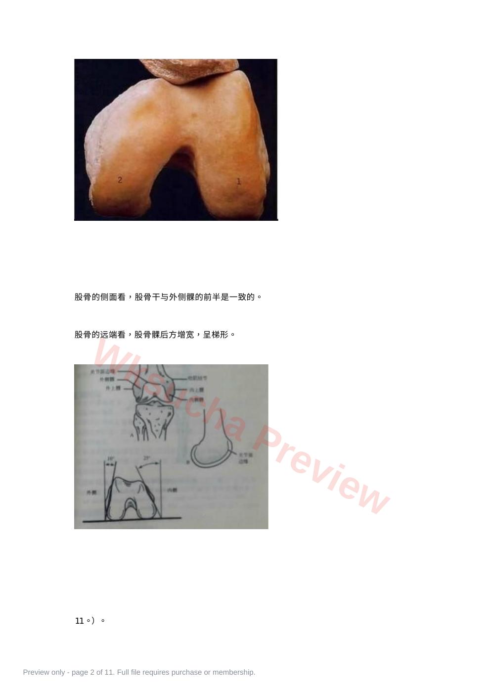 预览第 2 页
