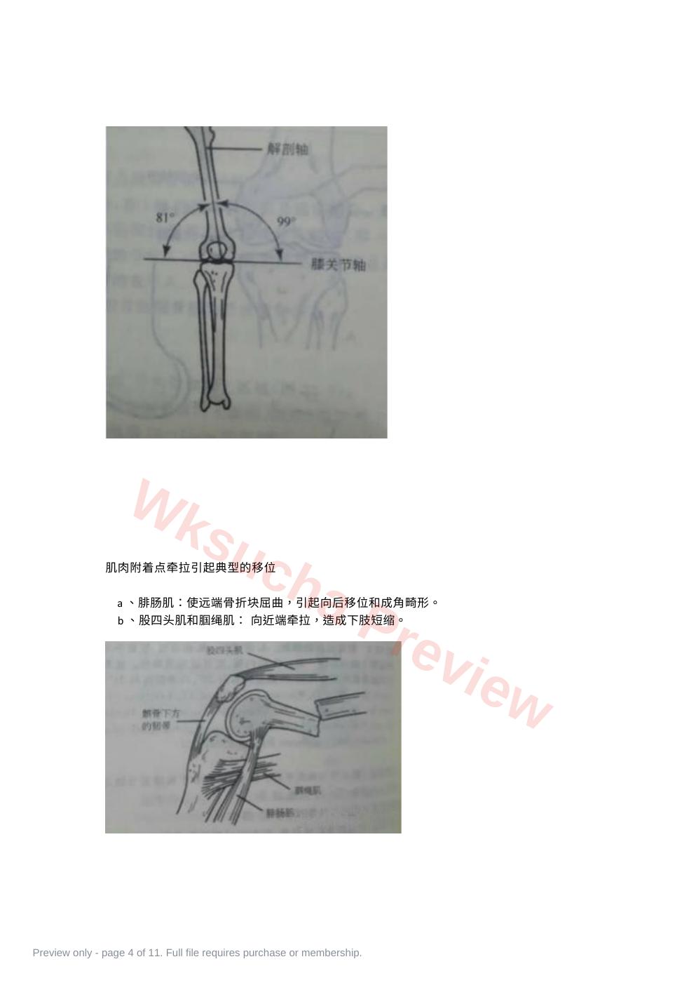 预览第 4 页