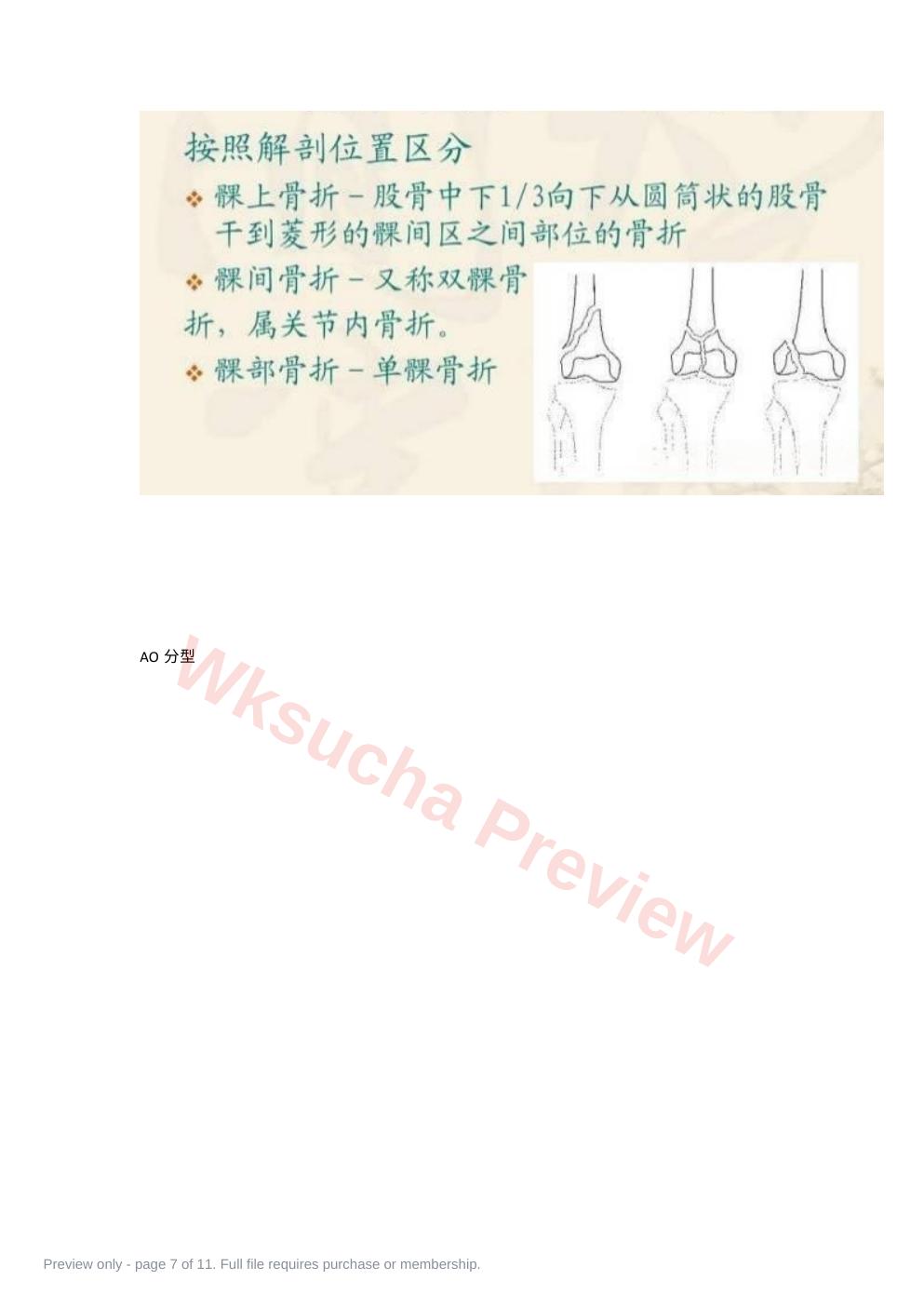 预览第 7 页