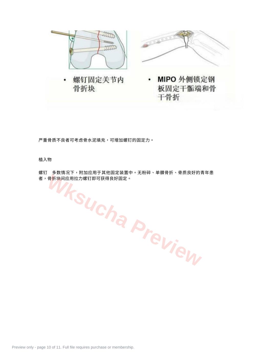 预览第 10 页