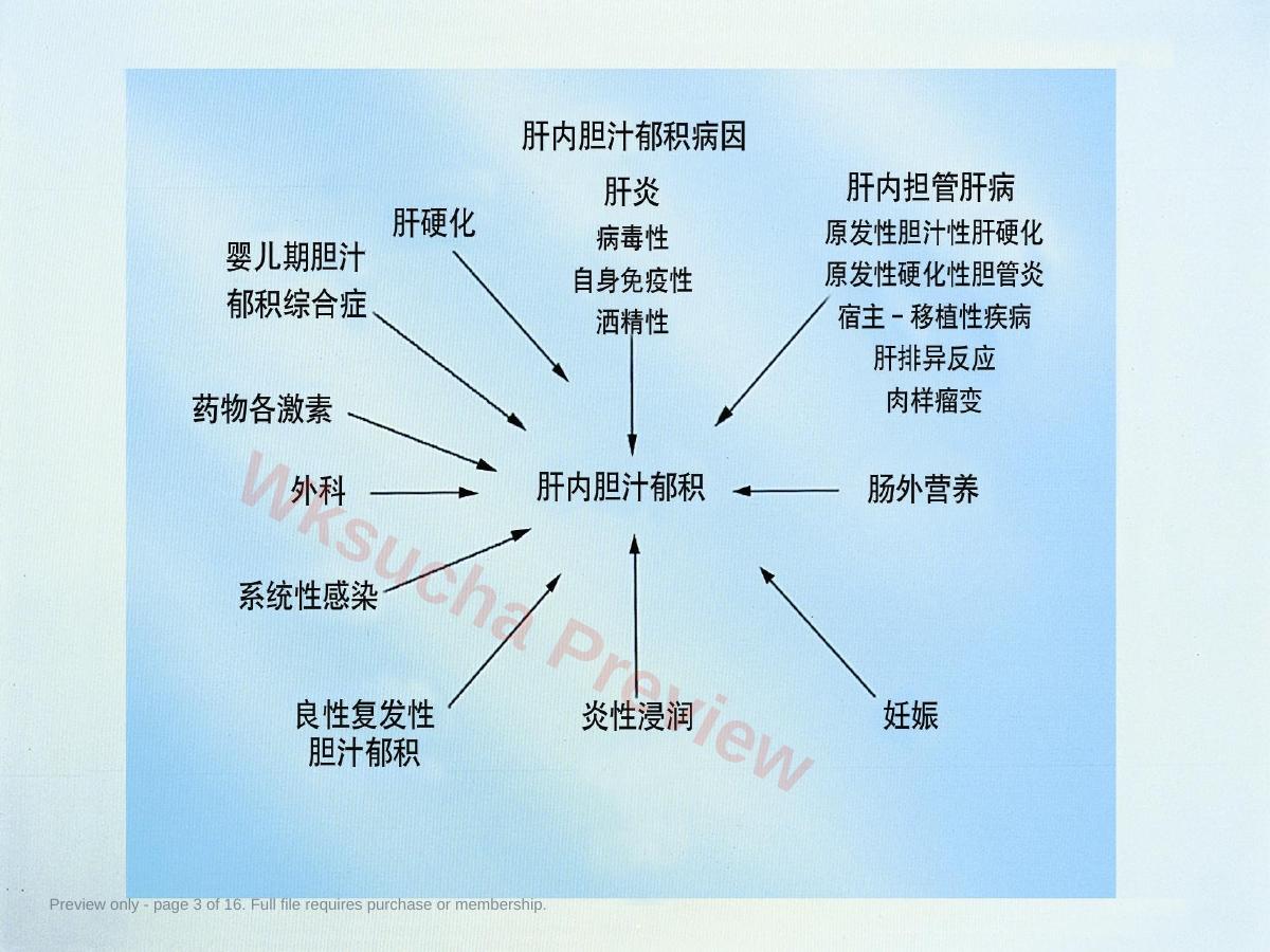 预览第 3 页