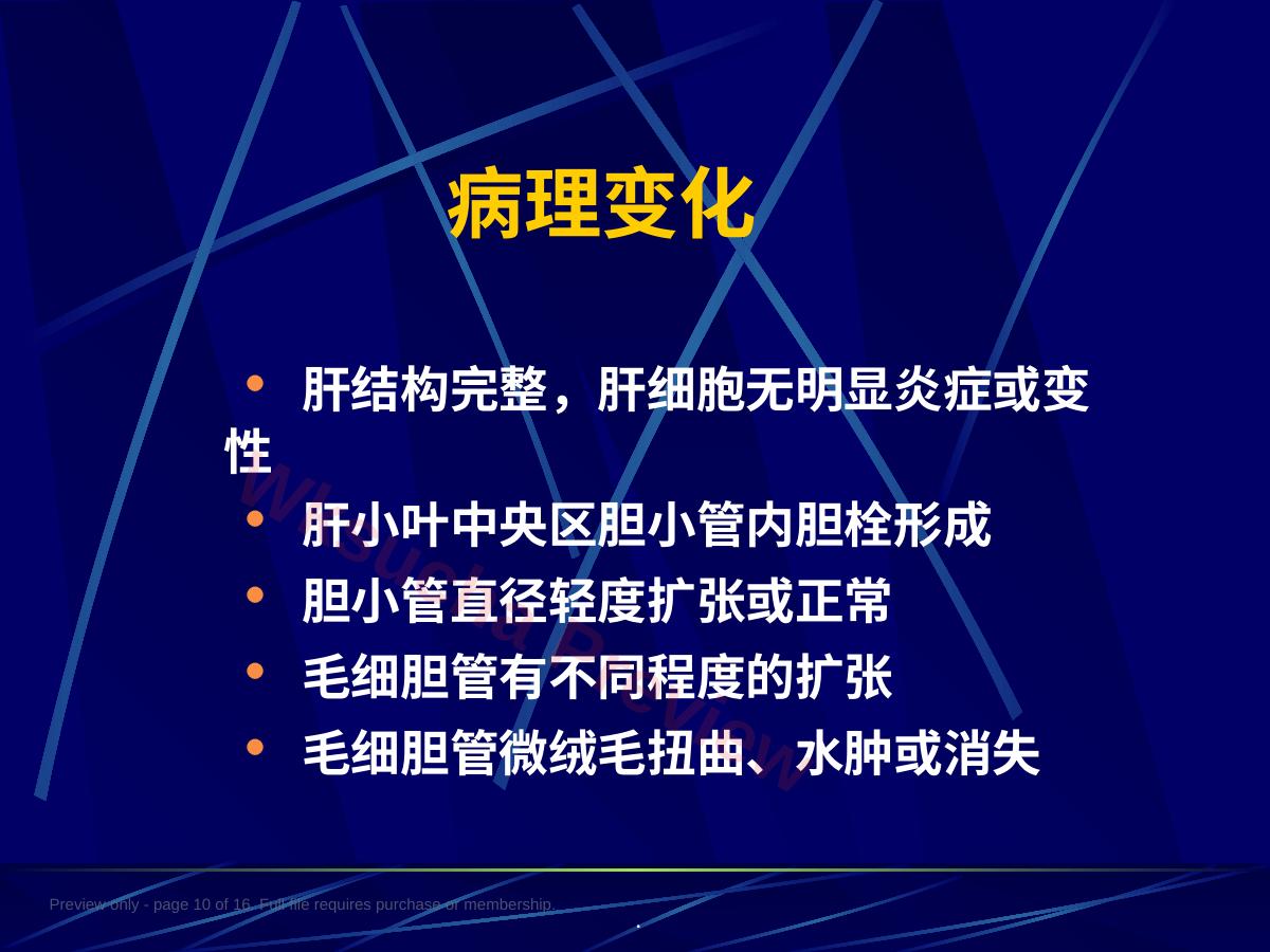 预览第 10 页