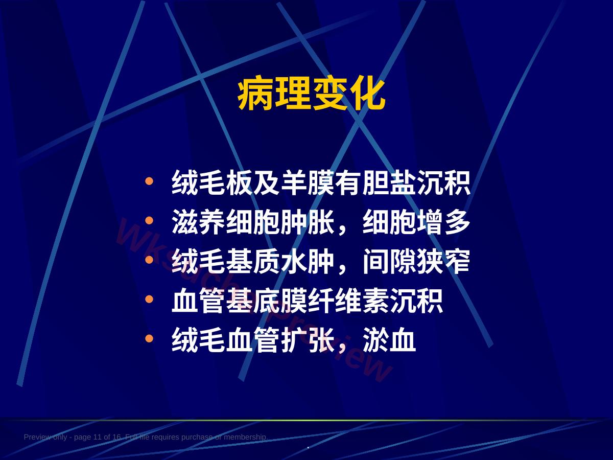 预览第 11 页