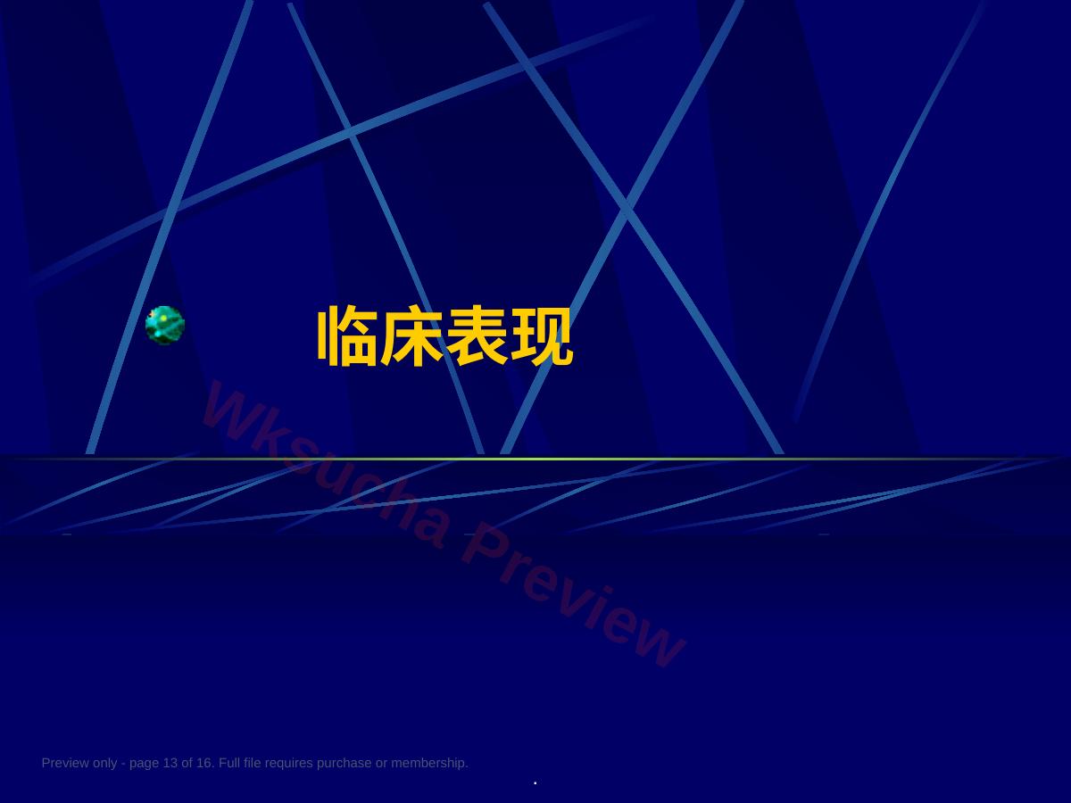 预览第 13 页