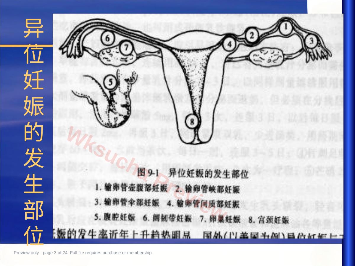 预览第 3 页