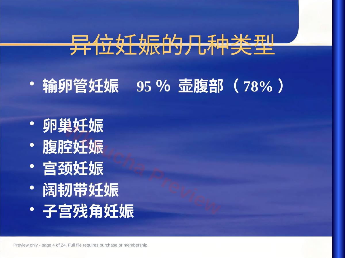 预览第 4 页