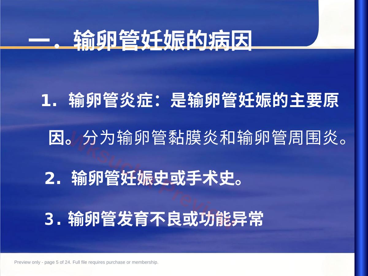 预览第 5 页
