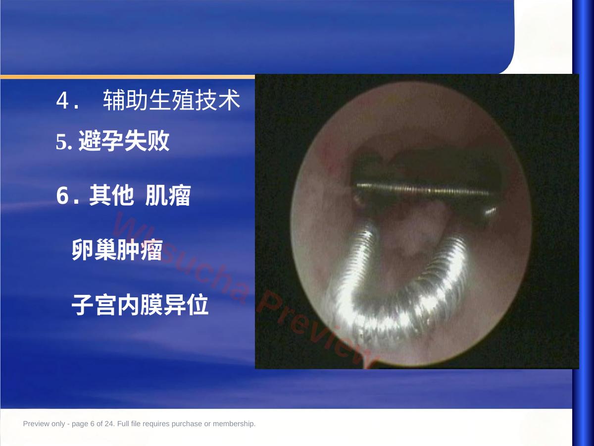 预览第 6 页