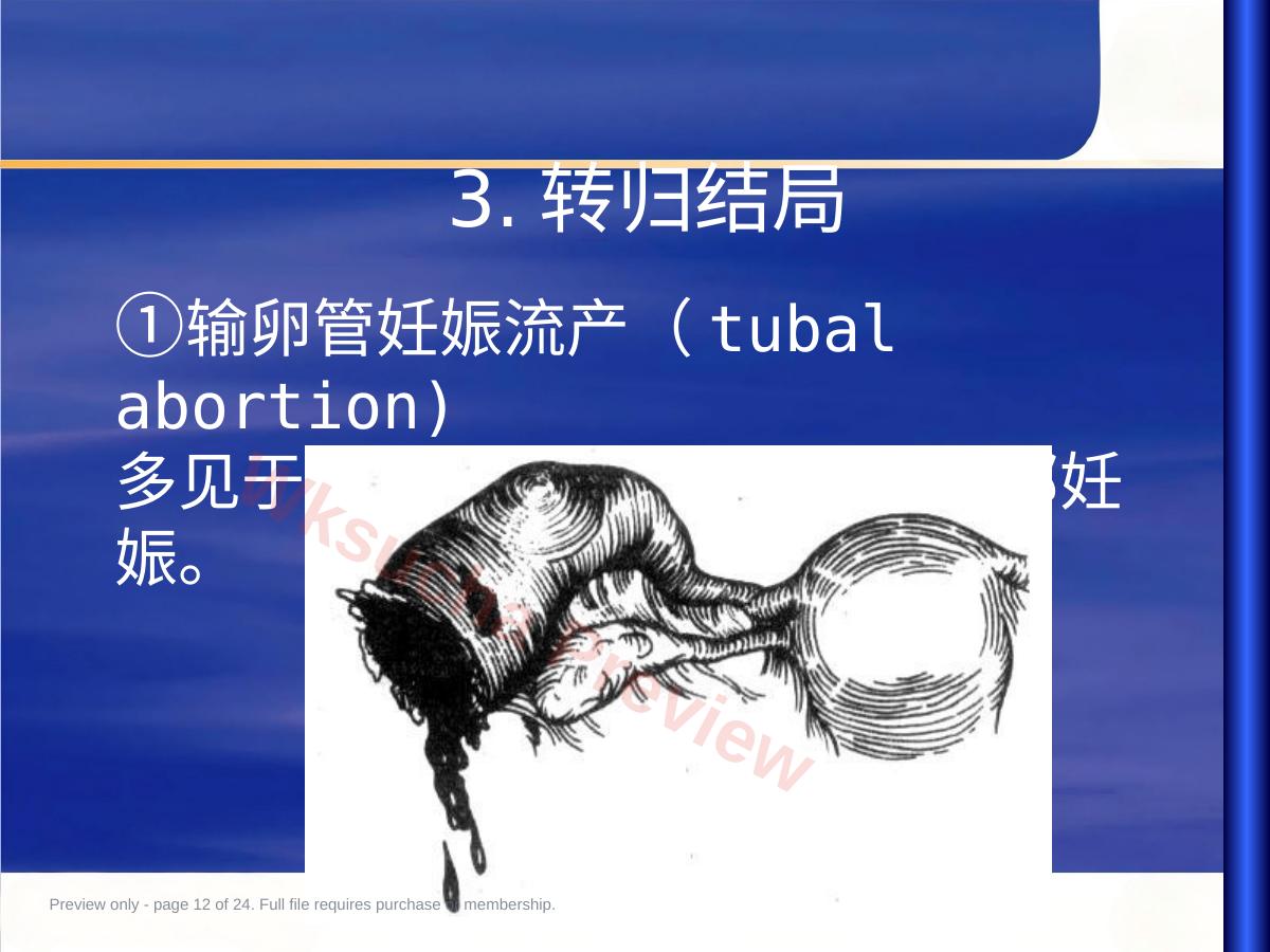 预览第 12 页