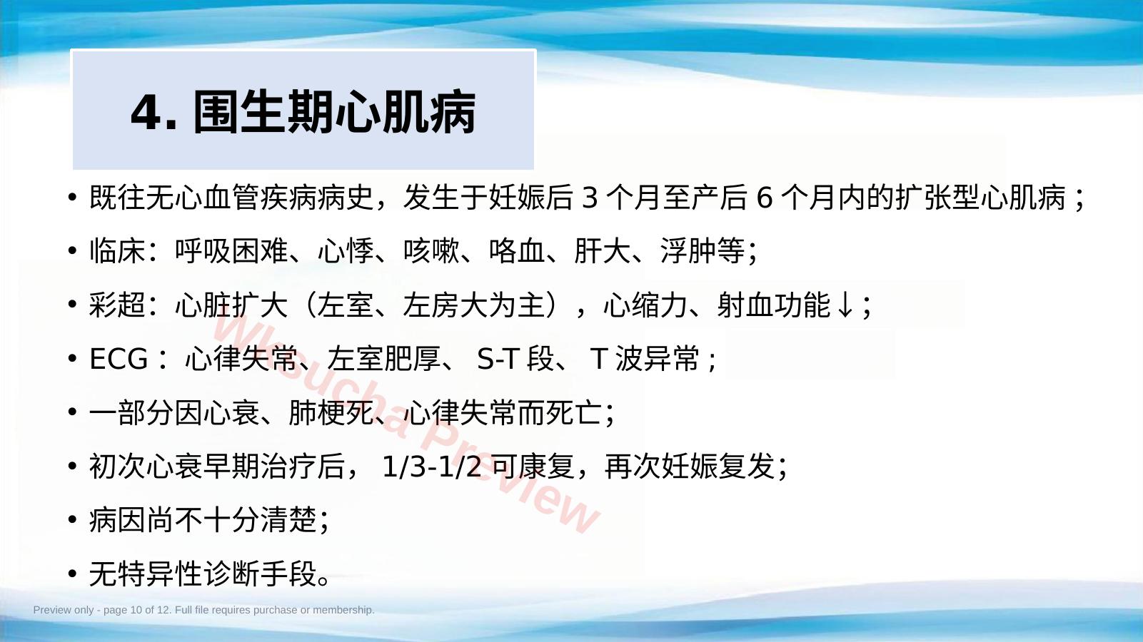 预览第 10 页