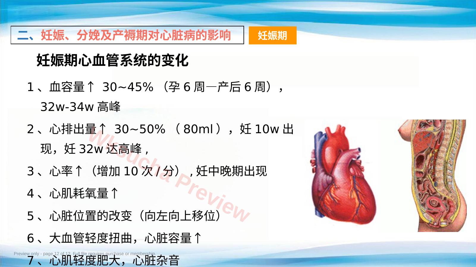 预览第 12 页