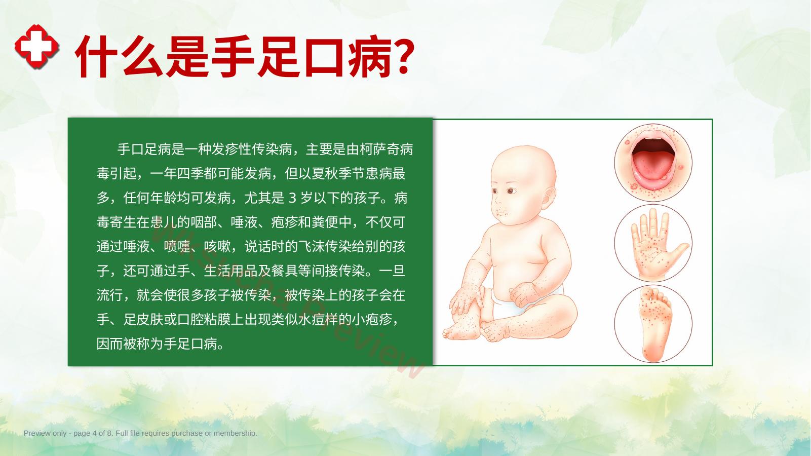 预览第 4 页