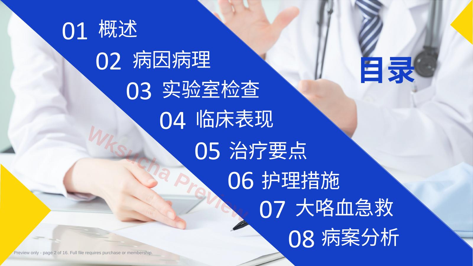 预览第 2 页