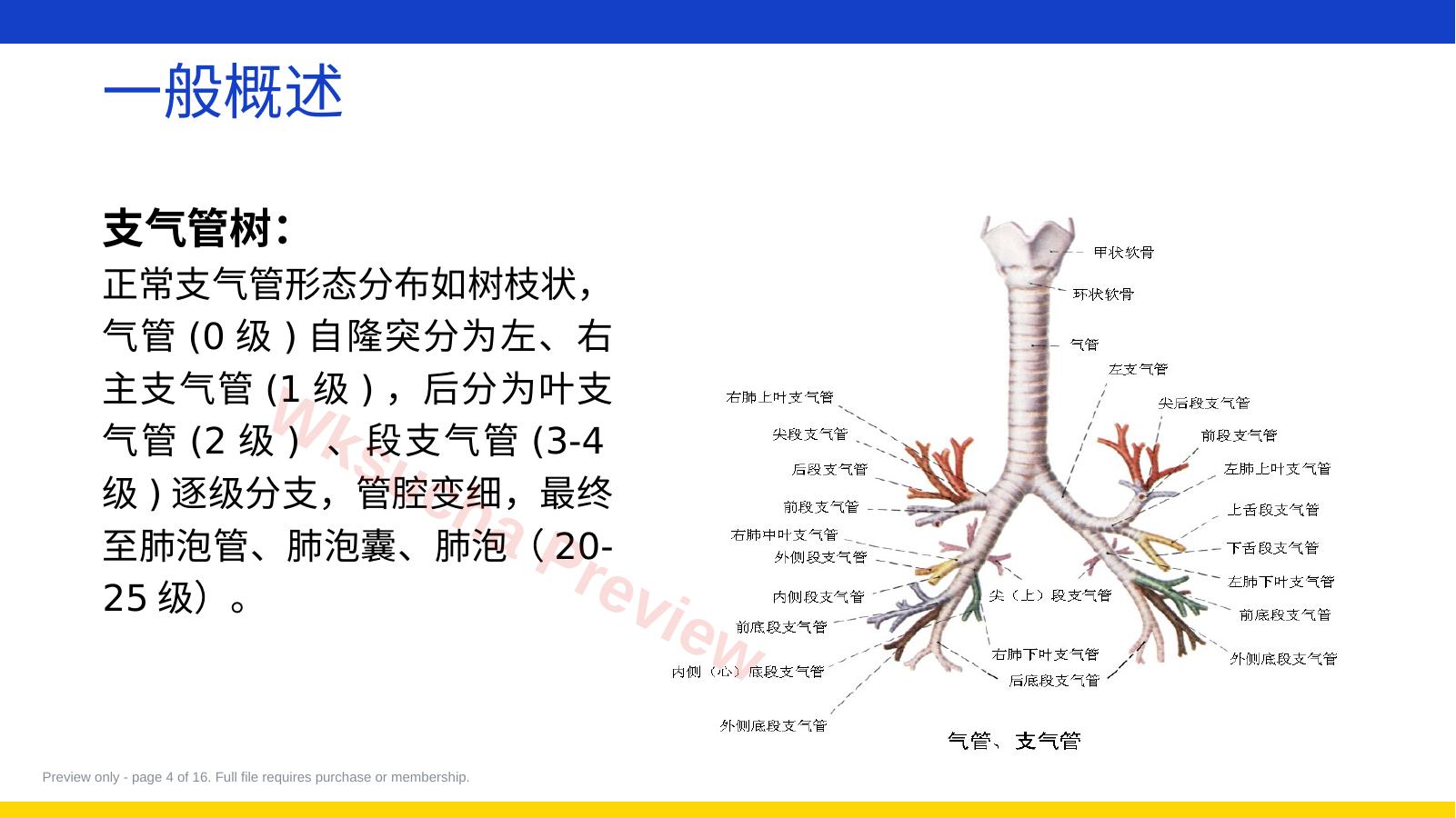 预览第 4 页