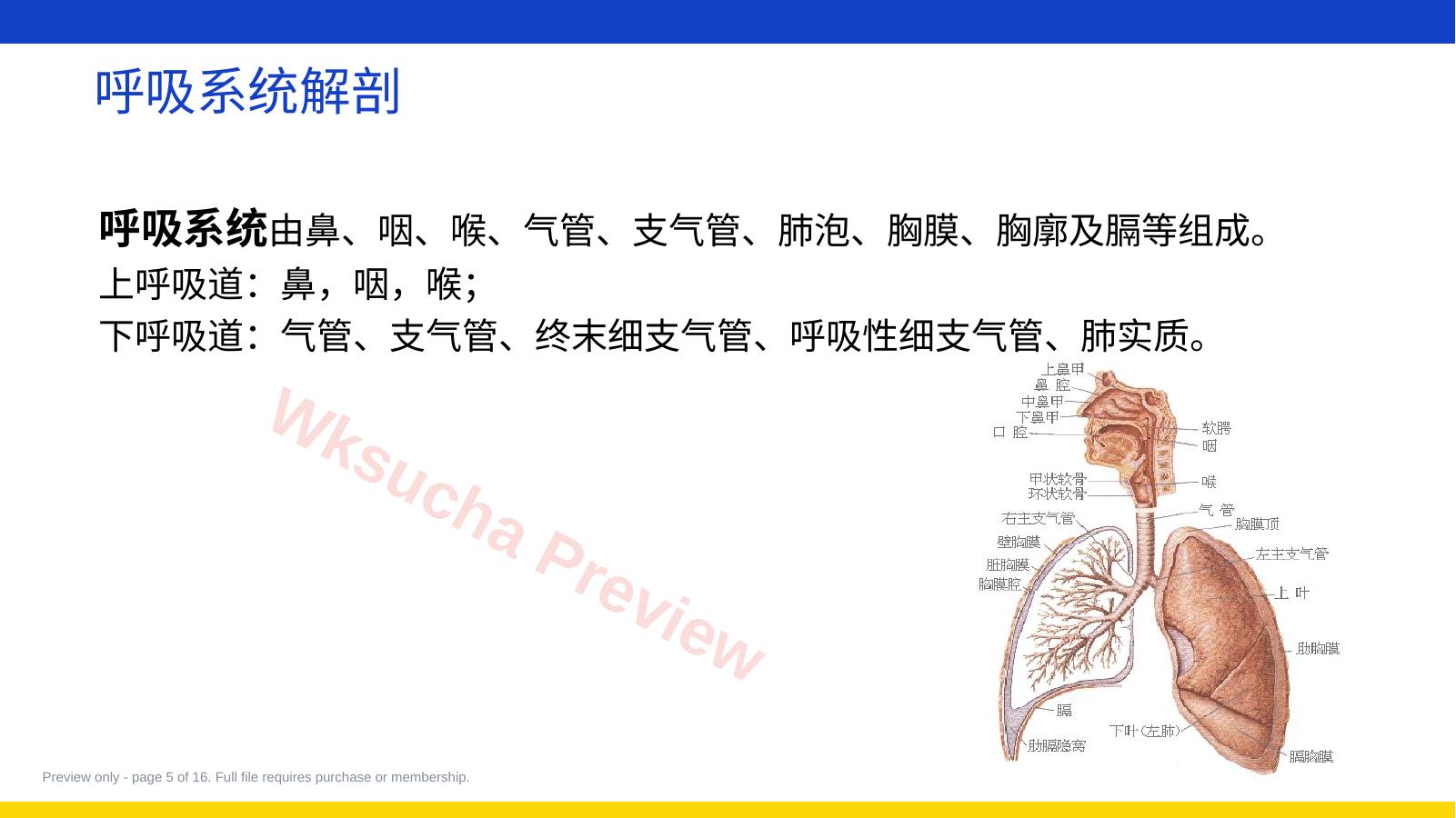 预览第 5 页