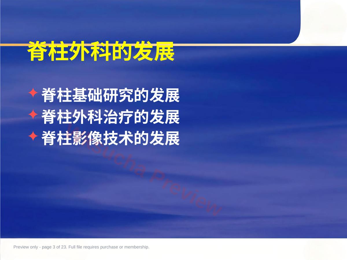 预览第 3 页