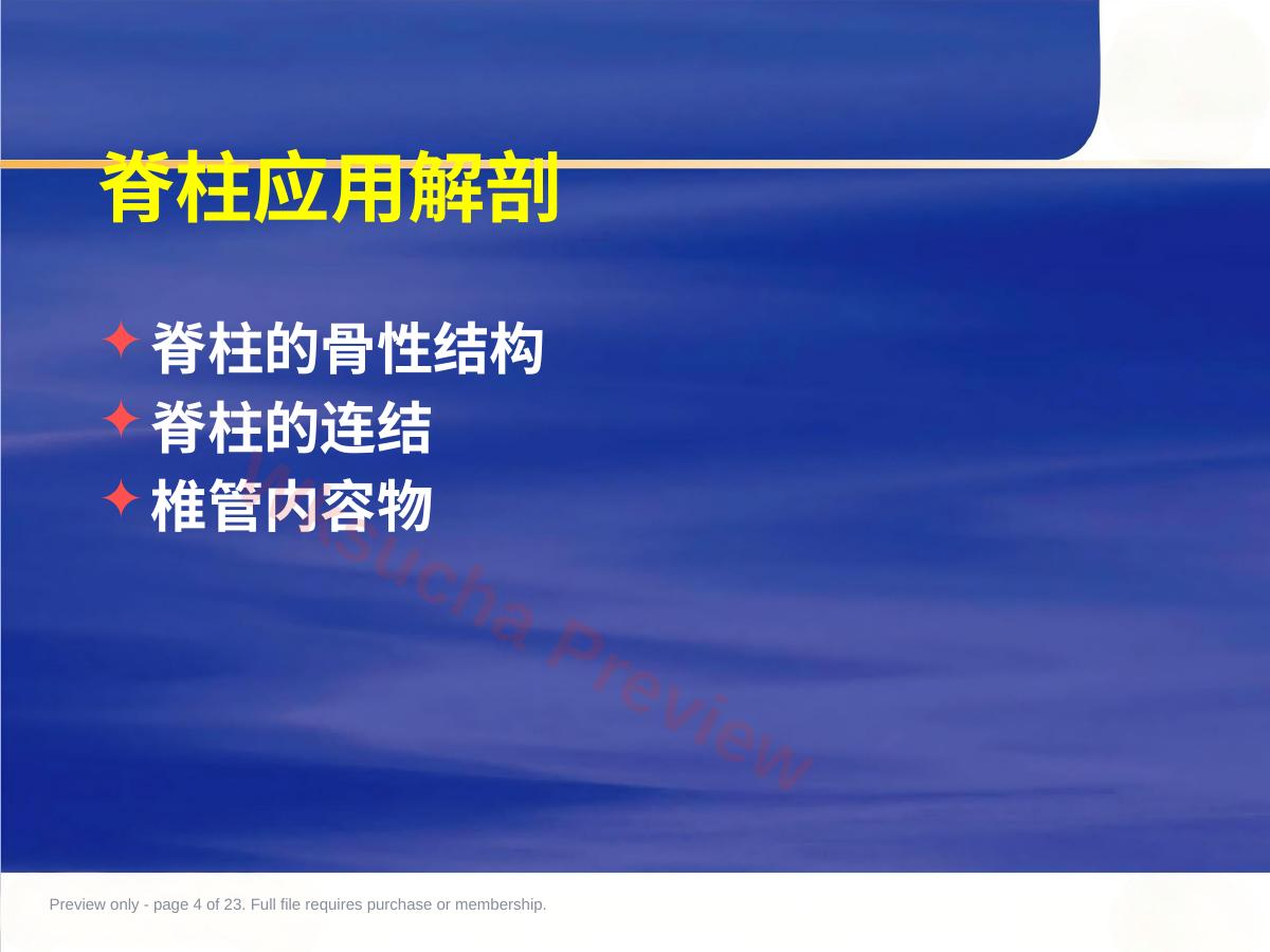 预览第 4 页