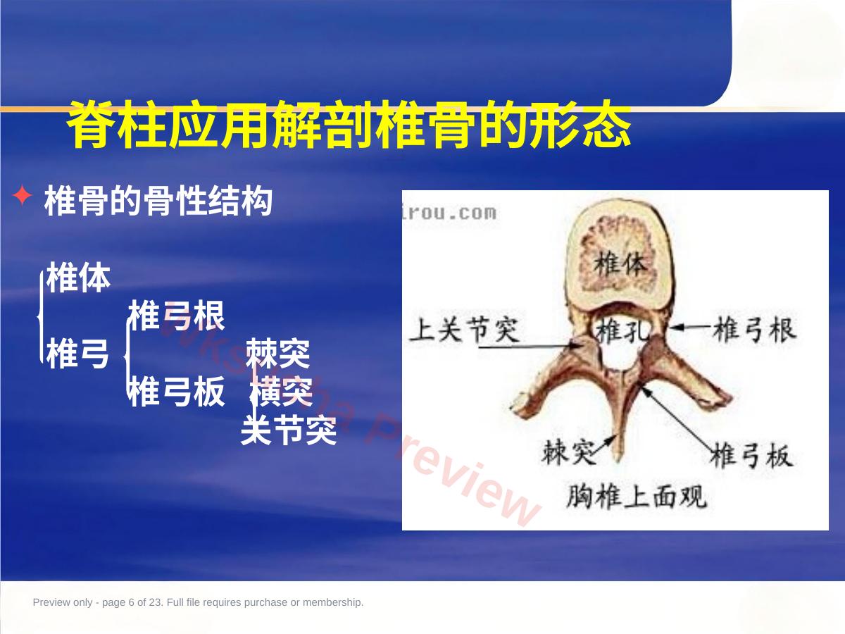 预览第 6 页