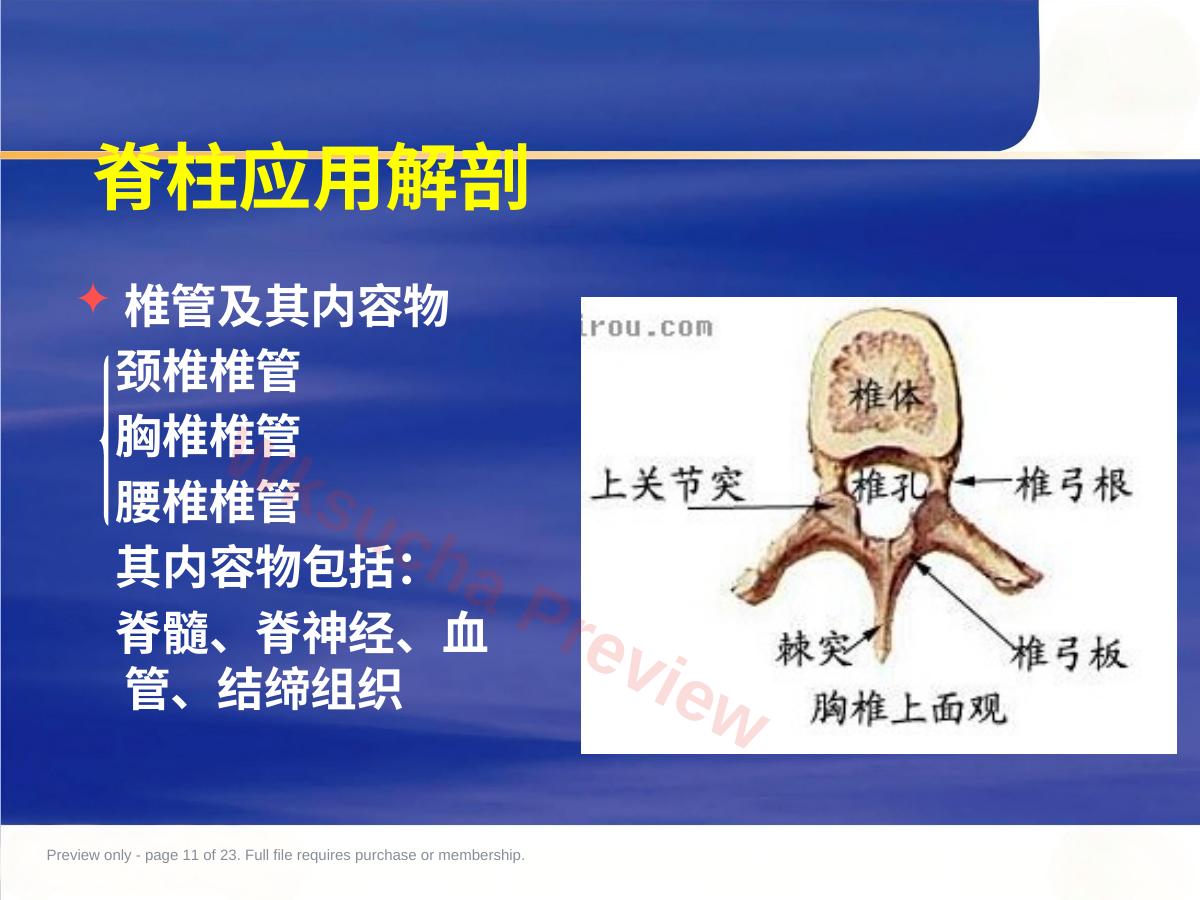 预览第 11 页