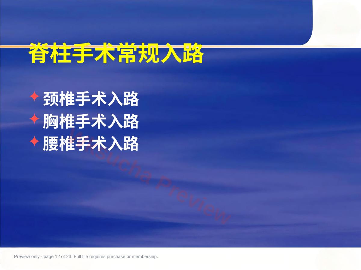 预览第 12 页