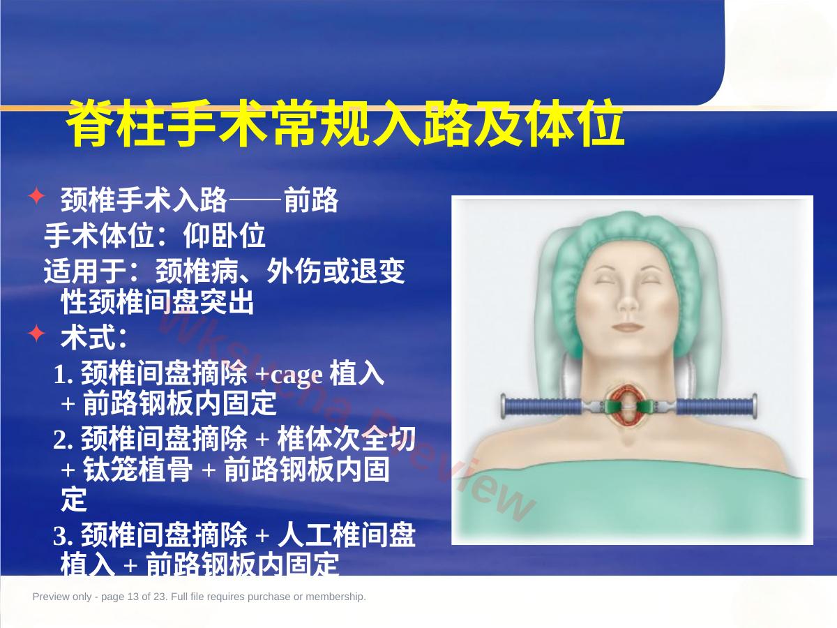 预览第 13 页