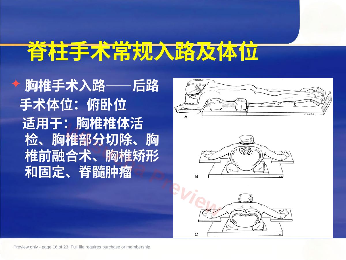 预览第 16 页