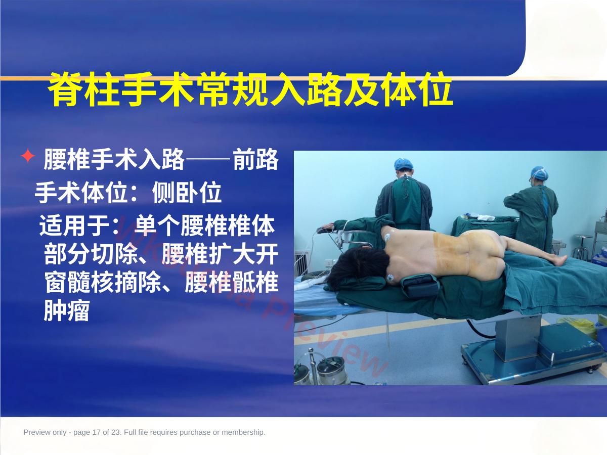 预览第 17 页